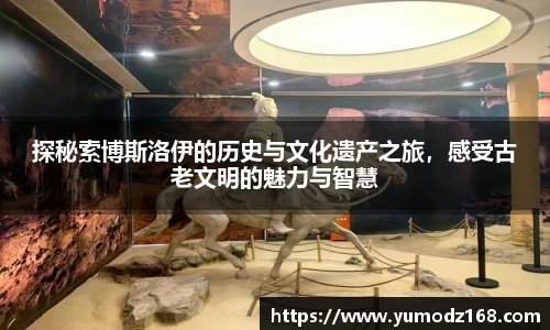 三亿体育官网入口