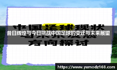 zbo智博
