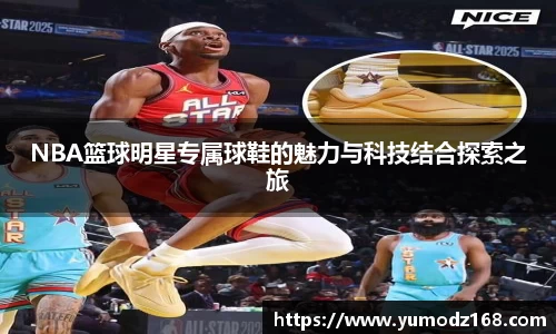 zbo智博